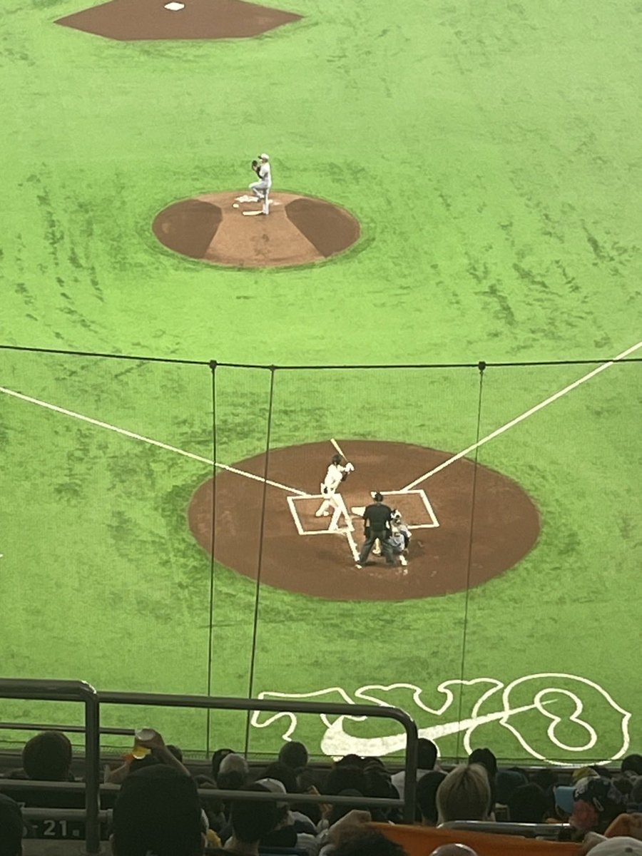 オレンジ🍊 tweet media