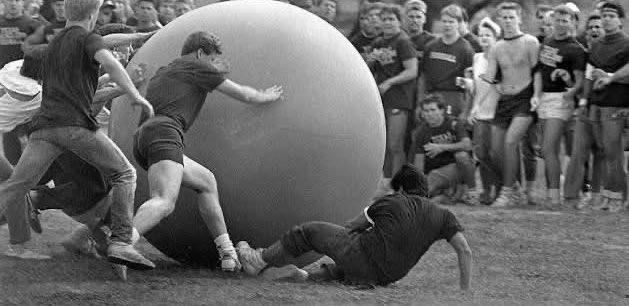 The Buddy CSM tweet media