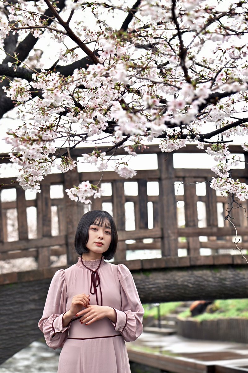 セルジュ@【個展「おもちゃ箱は眠らない」終演・ありがとうございました】 tweet media