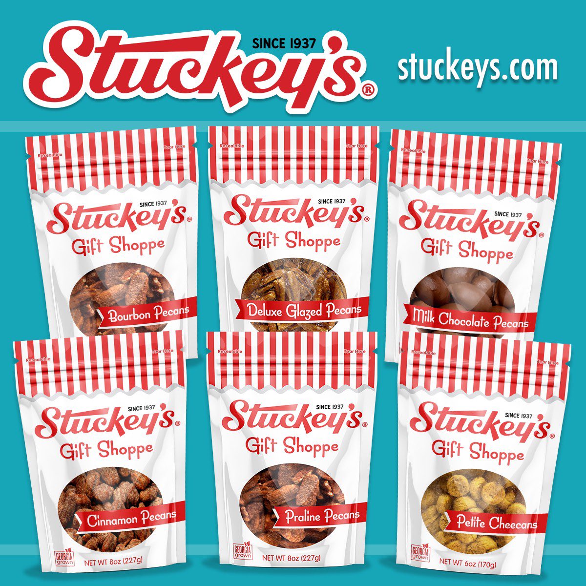 Stephanie Stuckey tweet media