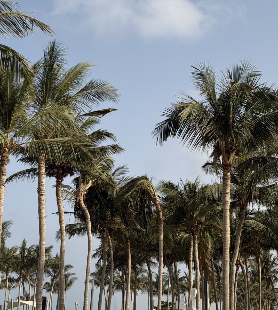 Basma Alghamdi tweet media