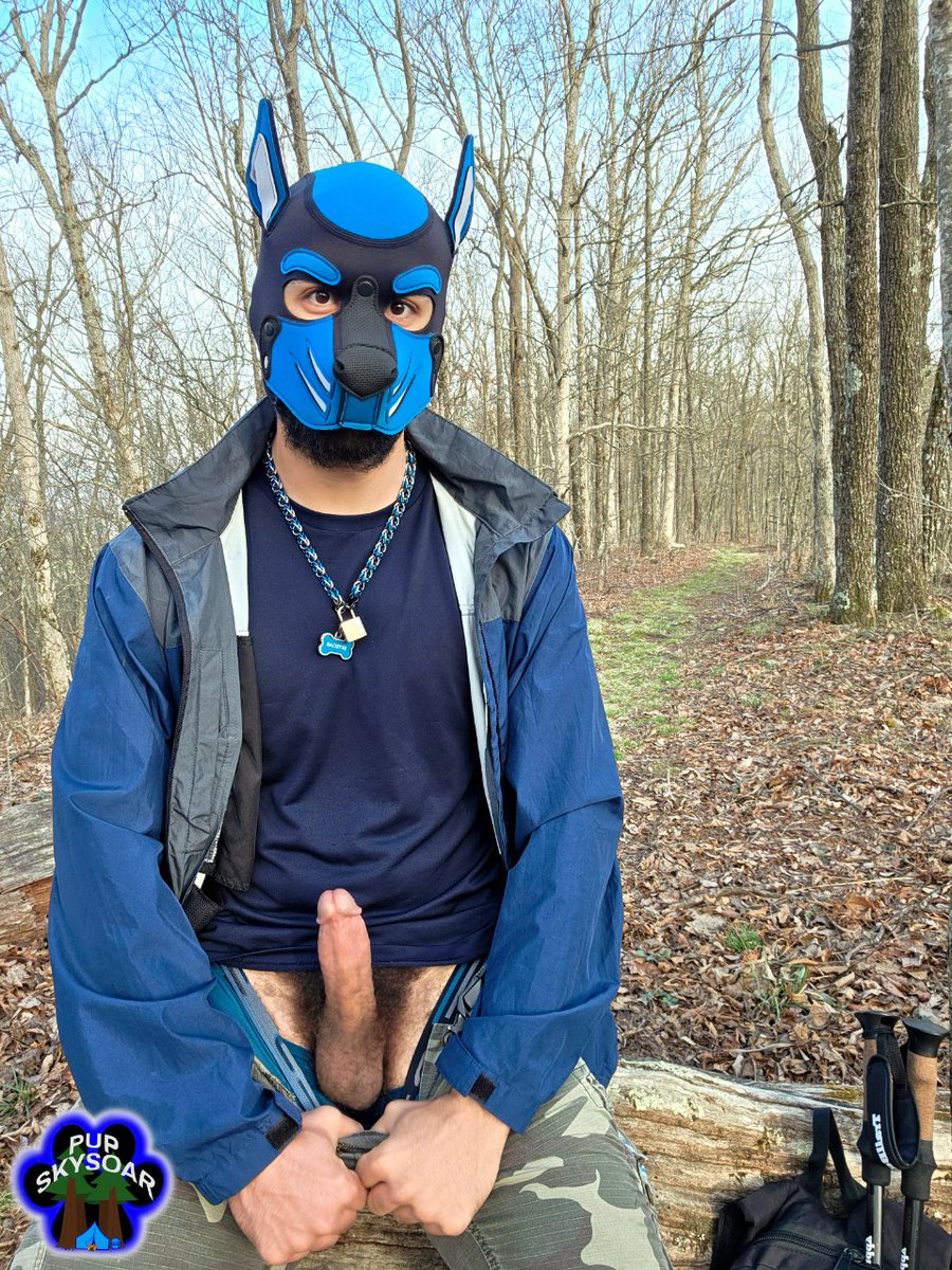 Pup Skysoar tweet media