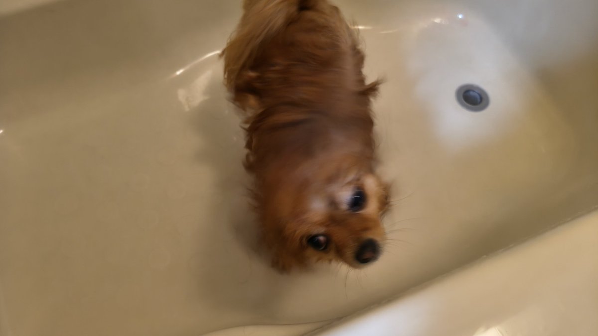 ゆうき tweet media