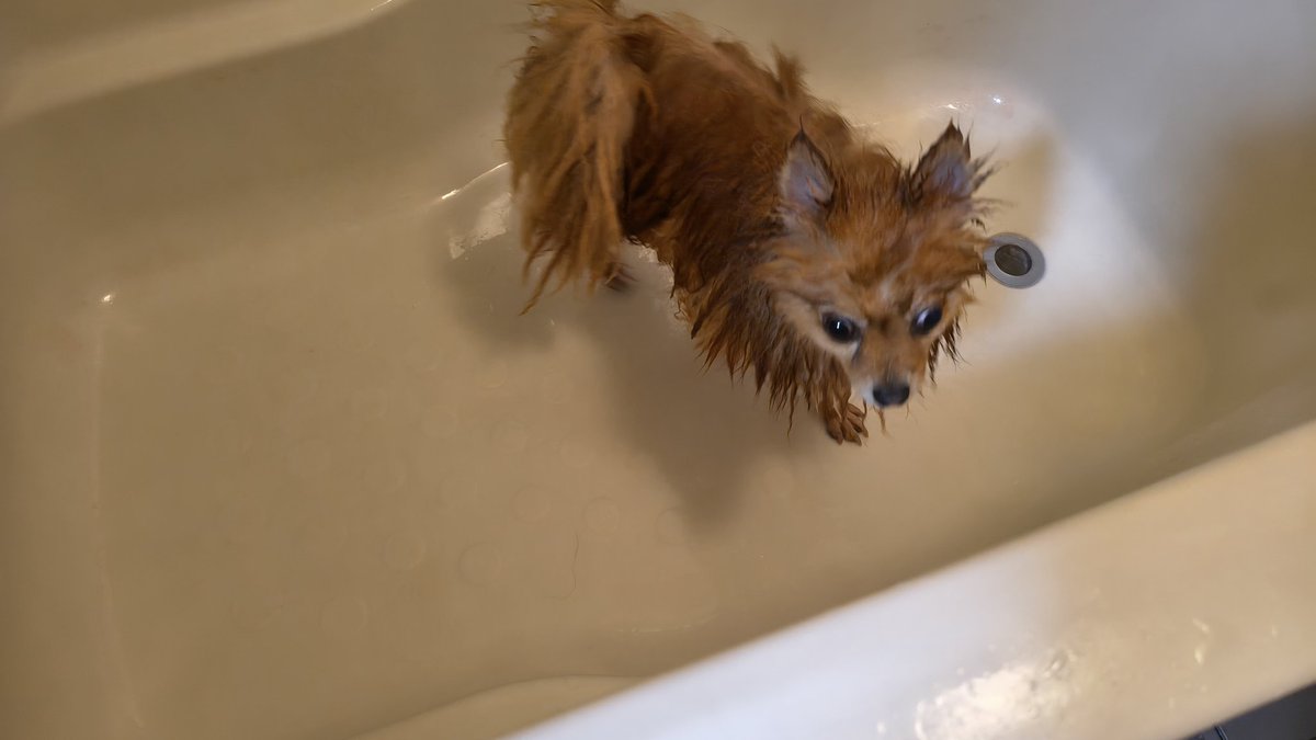 ゆうき tweet media