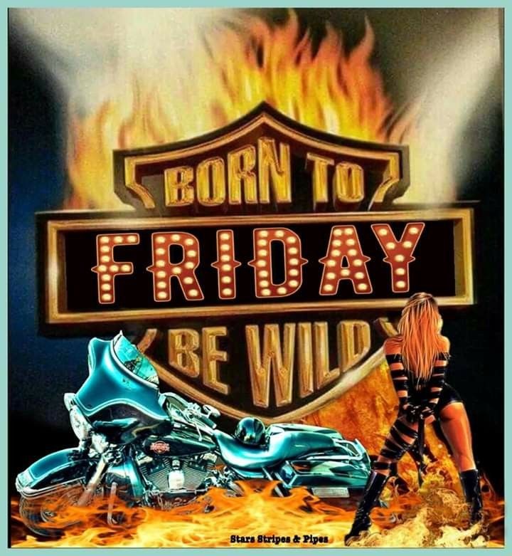 Ms Virginia tweet media