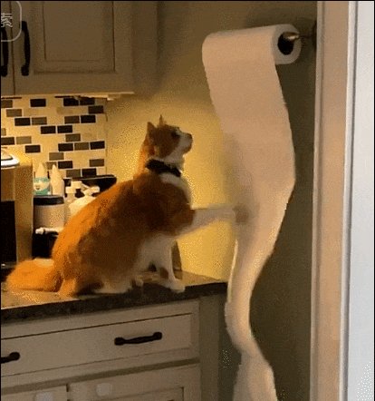 juan carlos garcia tweet media