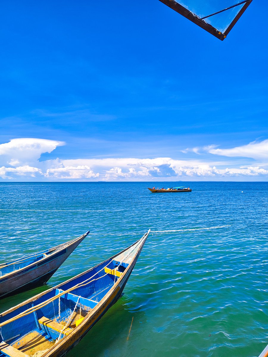 Msafiri Afrika tweet media