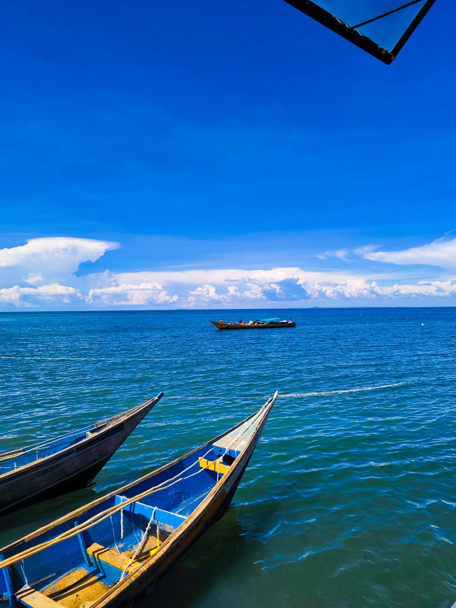 Msafiri Afrika tweet media