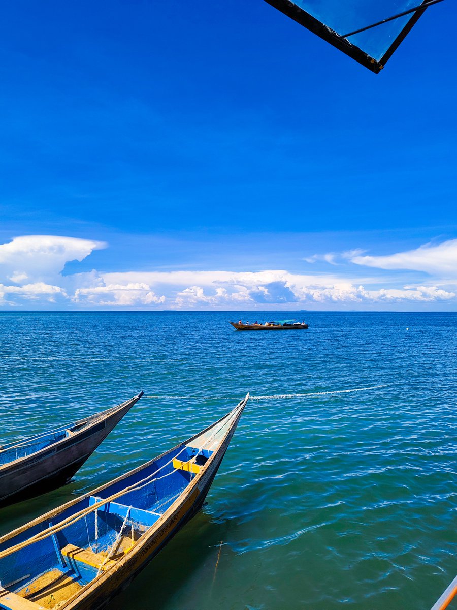 Msafiri Afrika tweet media