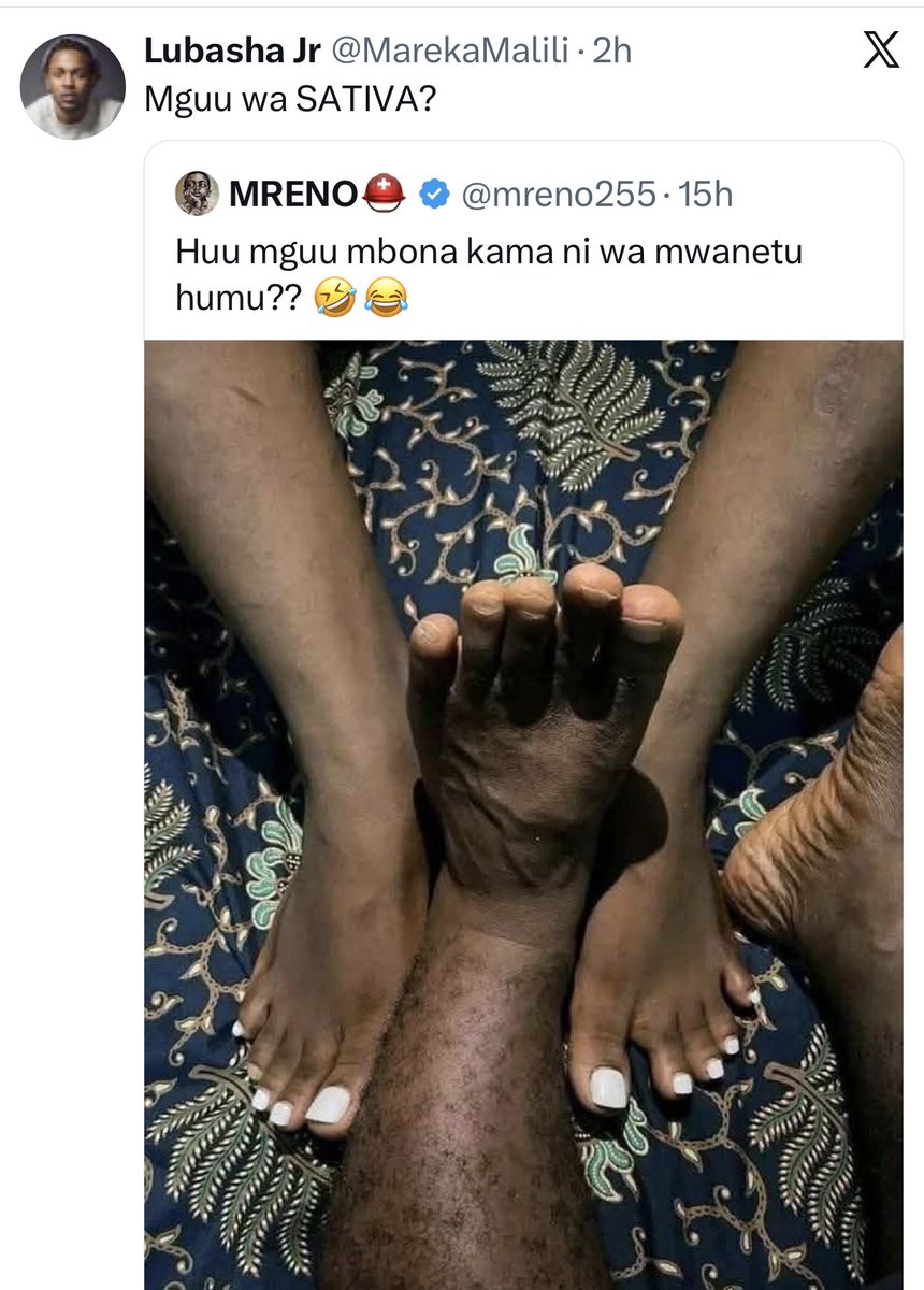 SATIVA17 X ( TWEETS) tweet media