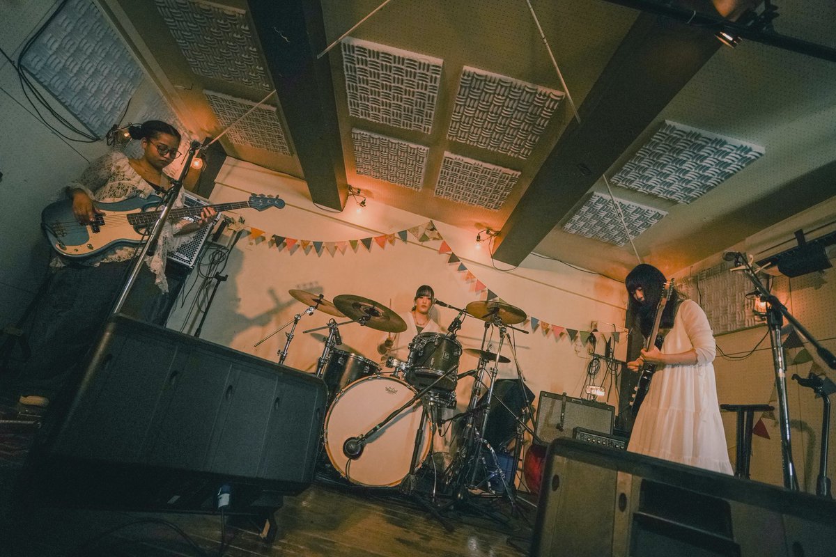 さかな日記 tweet media