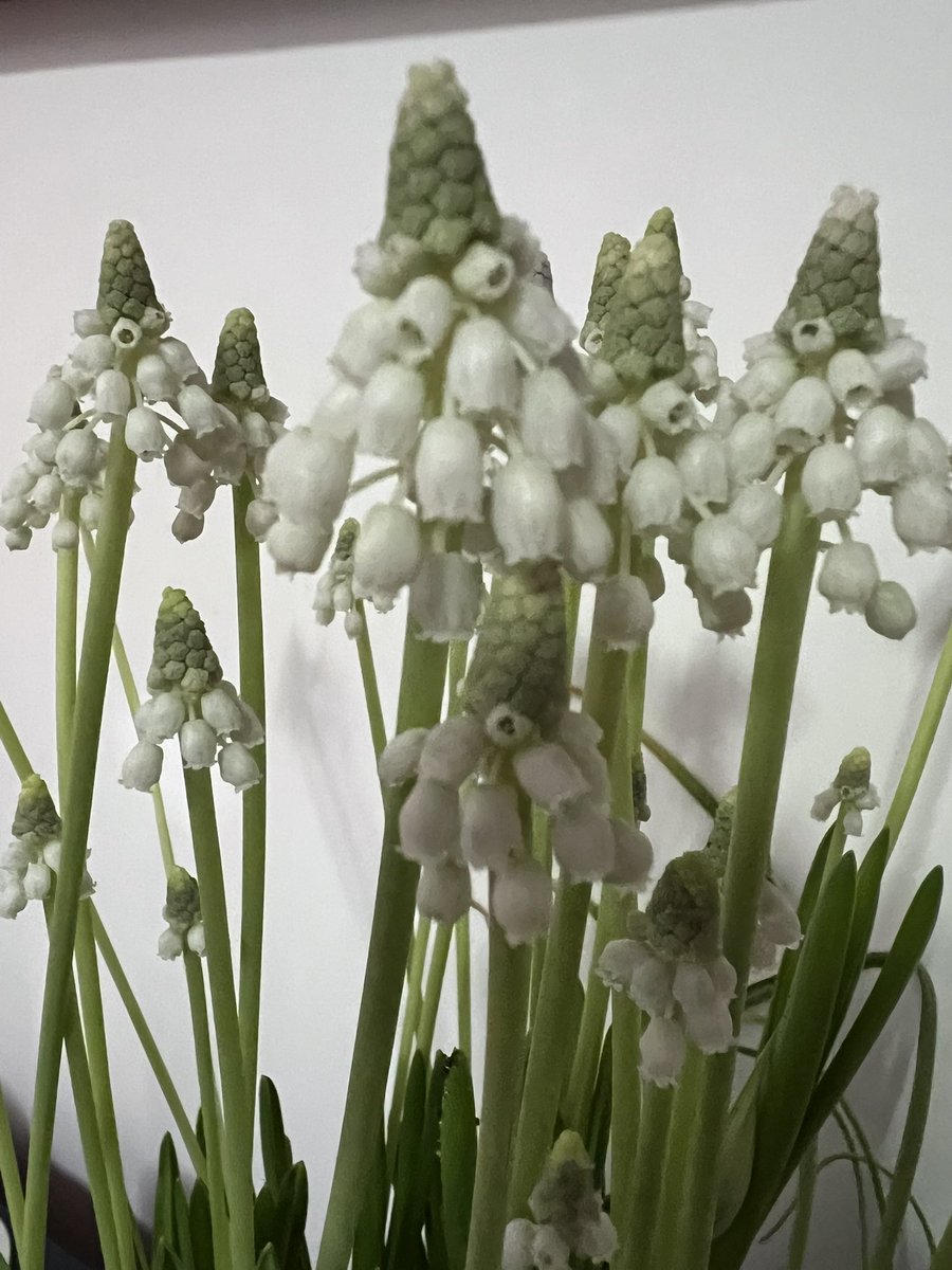 Sam Preston tweet media