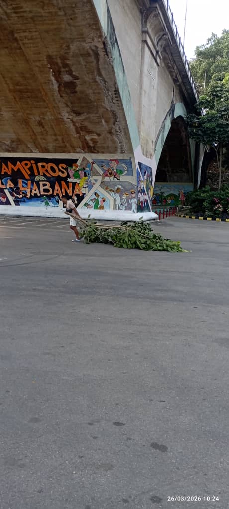 Yanet Hernández tweet media