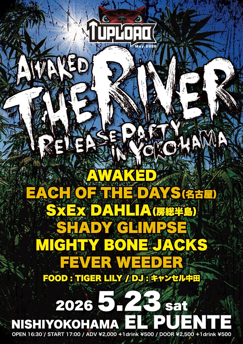 skatethrasher tweet media