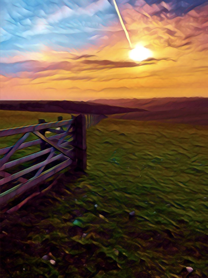 Aeon 237 💹🧲 tweet media