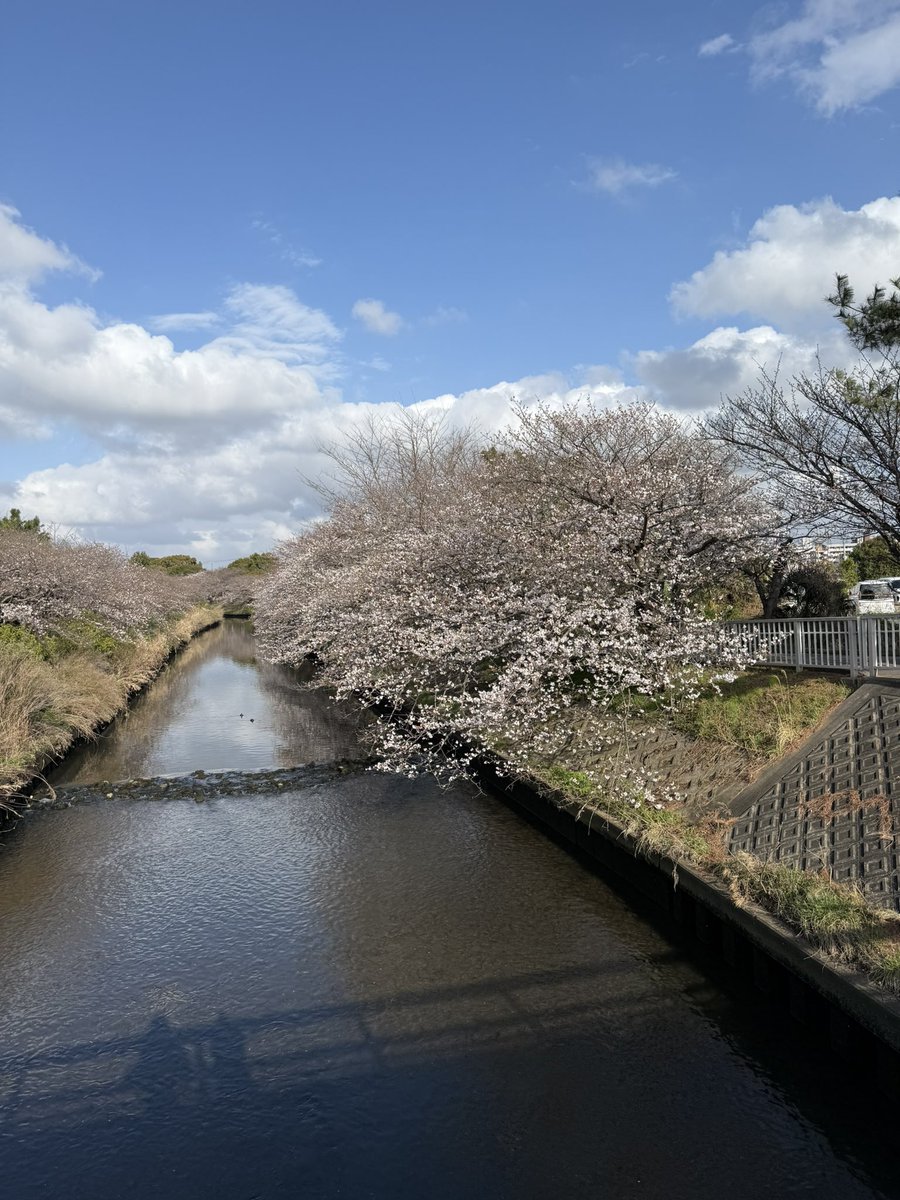 ๐๐ฒ๐_๐๐๐๐๐๐๐๐๏ผในใฟใผใธใงใใ๏ผ tweet media