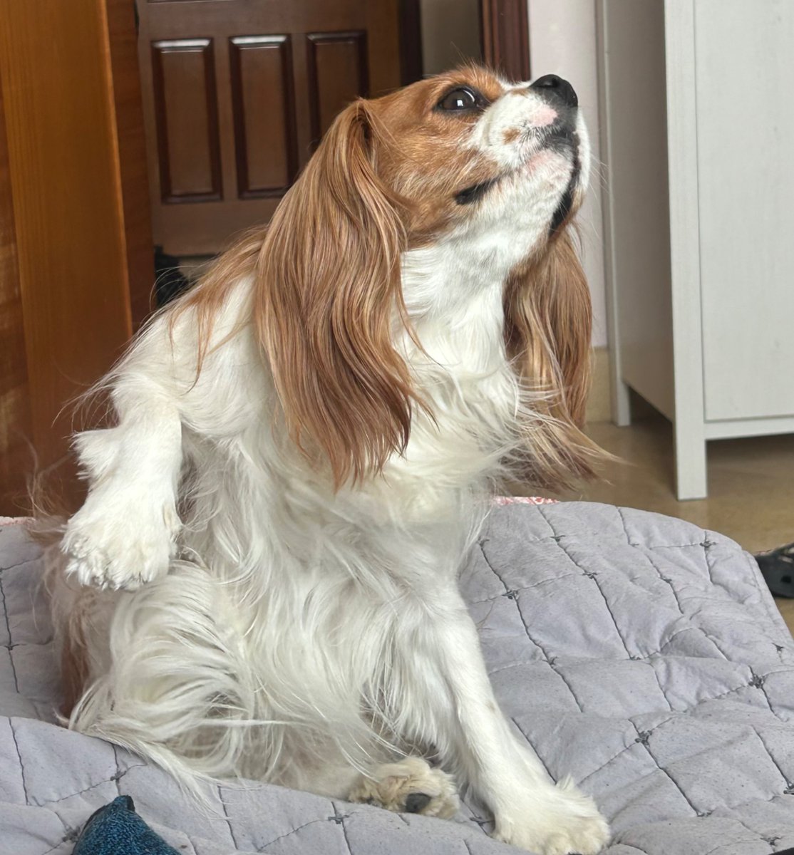 Daniel 🌞✨ tweet media