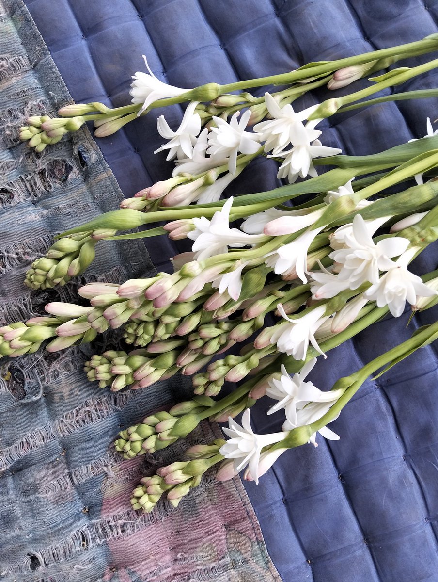 Akan Tiba Saatnya tweet media