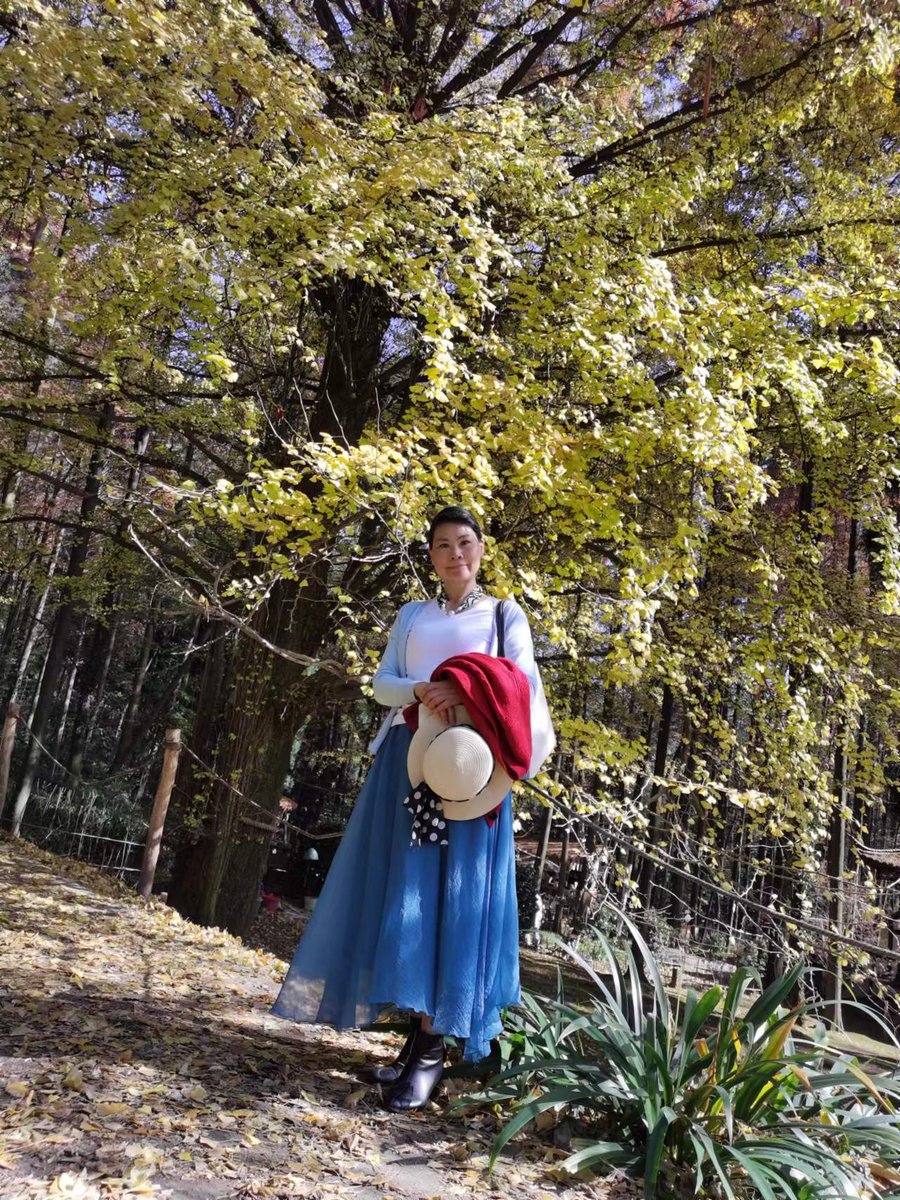 João Lopes tweet media