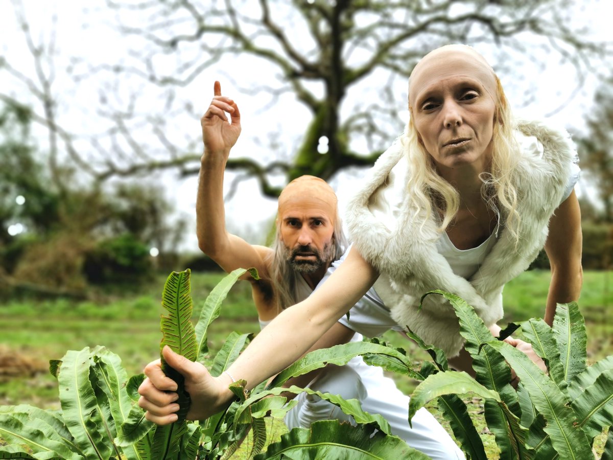 Cultura Venezia tweet media