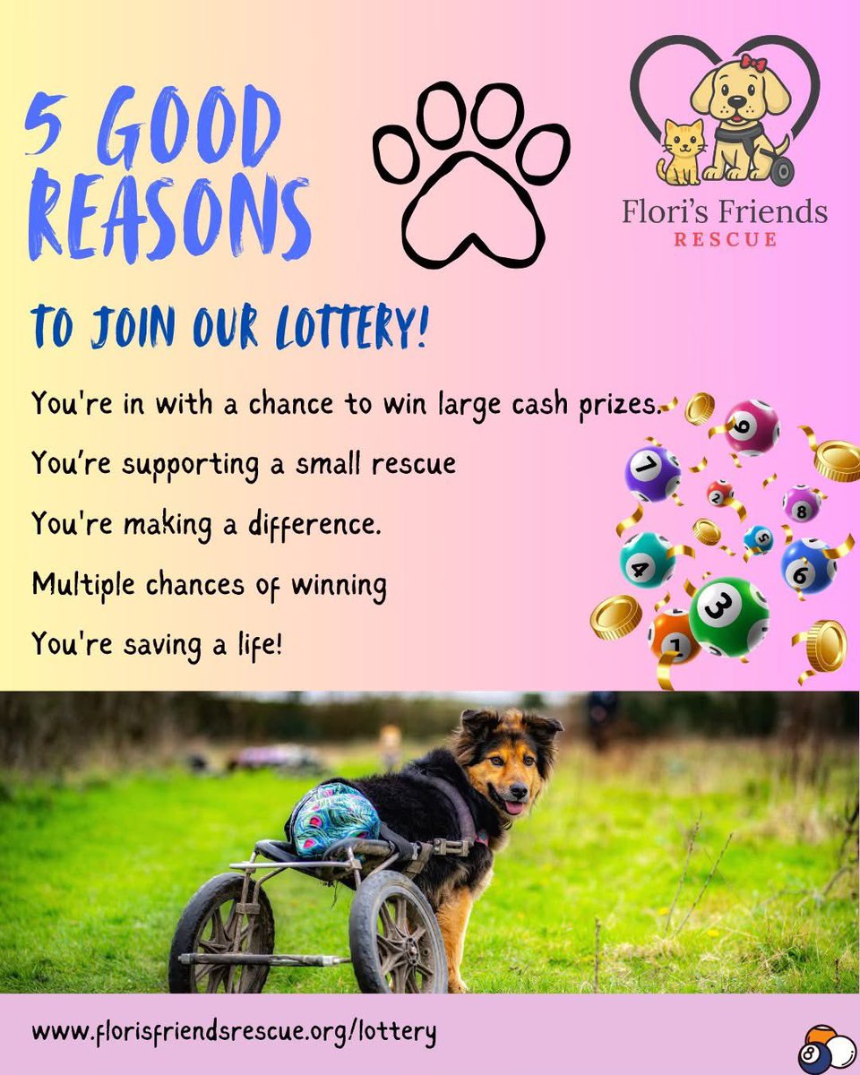 Flori's Friends Rescue tweet media