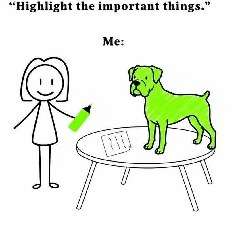 Boxer Stella (RIP Sacha) tweet media