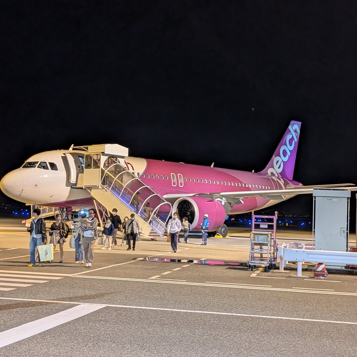 二階堂ねこ@和歌山ライター│🐱 tweet media