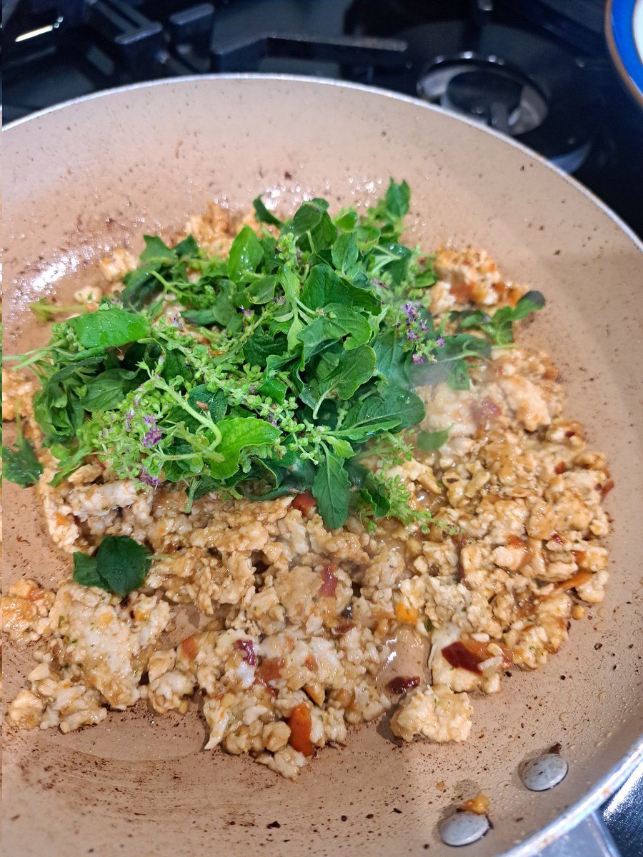 Tips ⫸🍊 tweet media