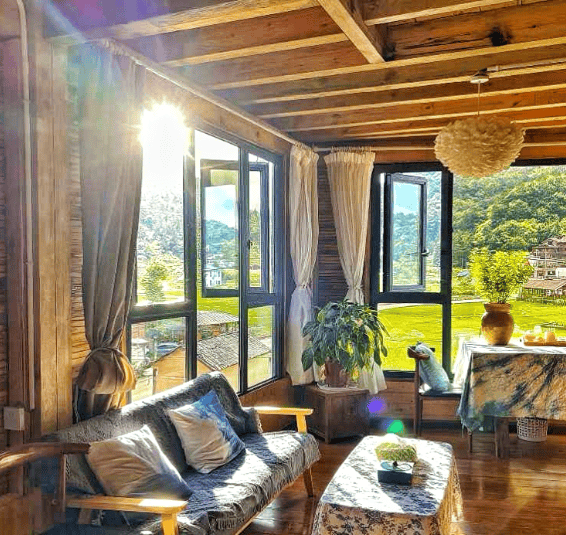 celina arellano tweet media