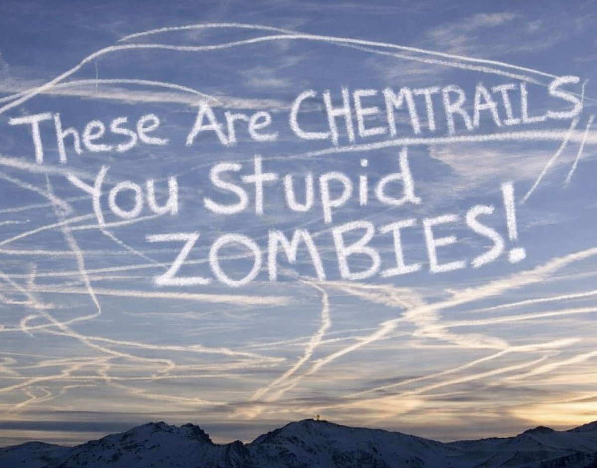 Campesino Roderick tweet media