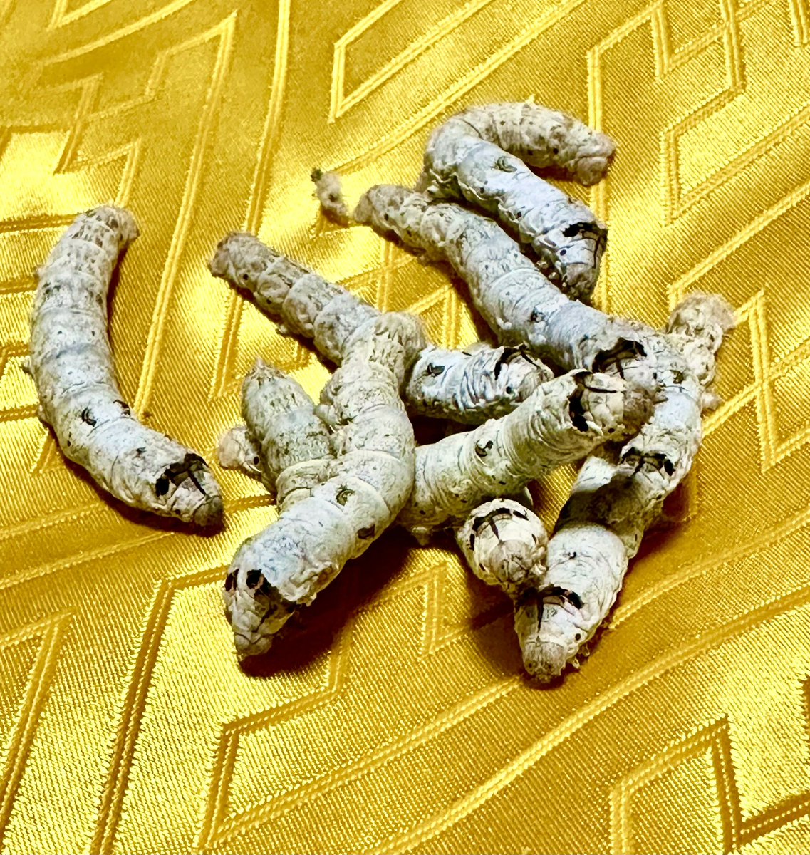 Simeji(K&G Factory) tweet media