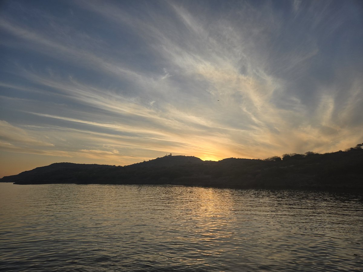 ♤ Bee 🐝 ♤ tweet media