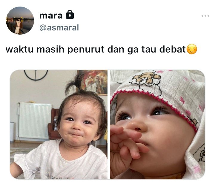 grc๋ ࣭ ⭑ tweet media