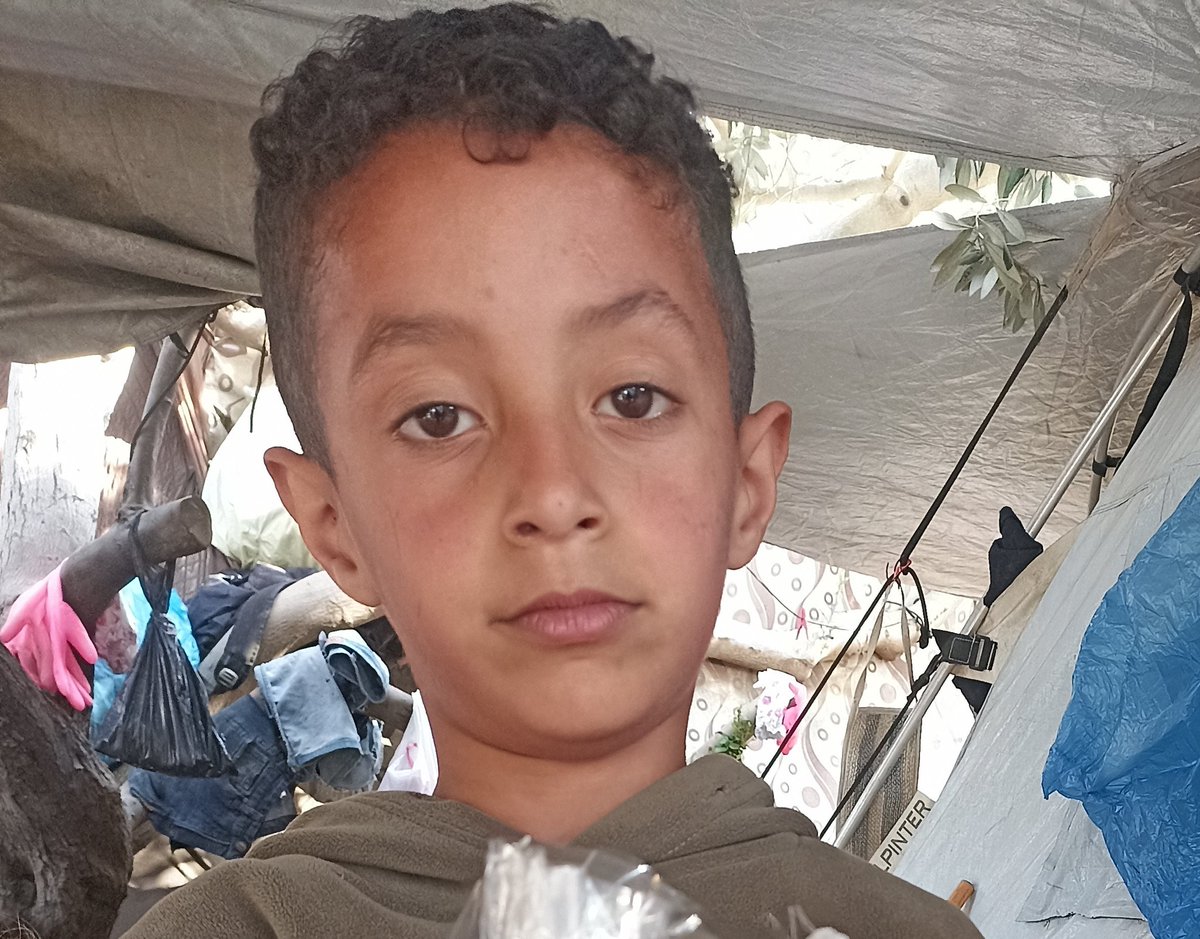 majdisam tweet media