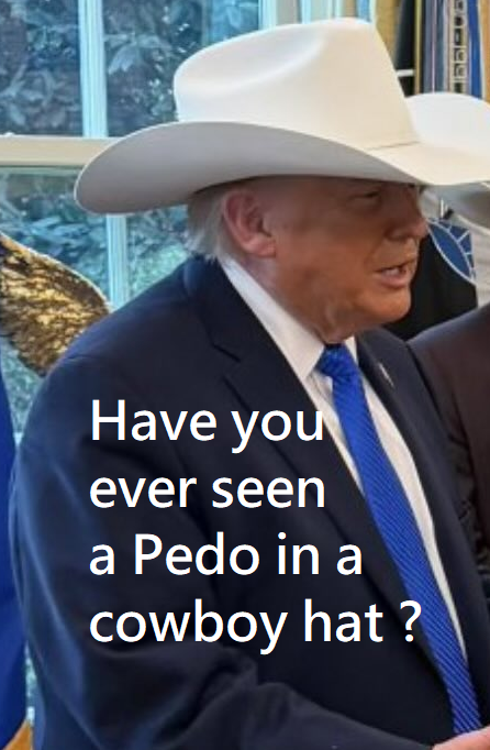 Libertarian Stan tweet media