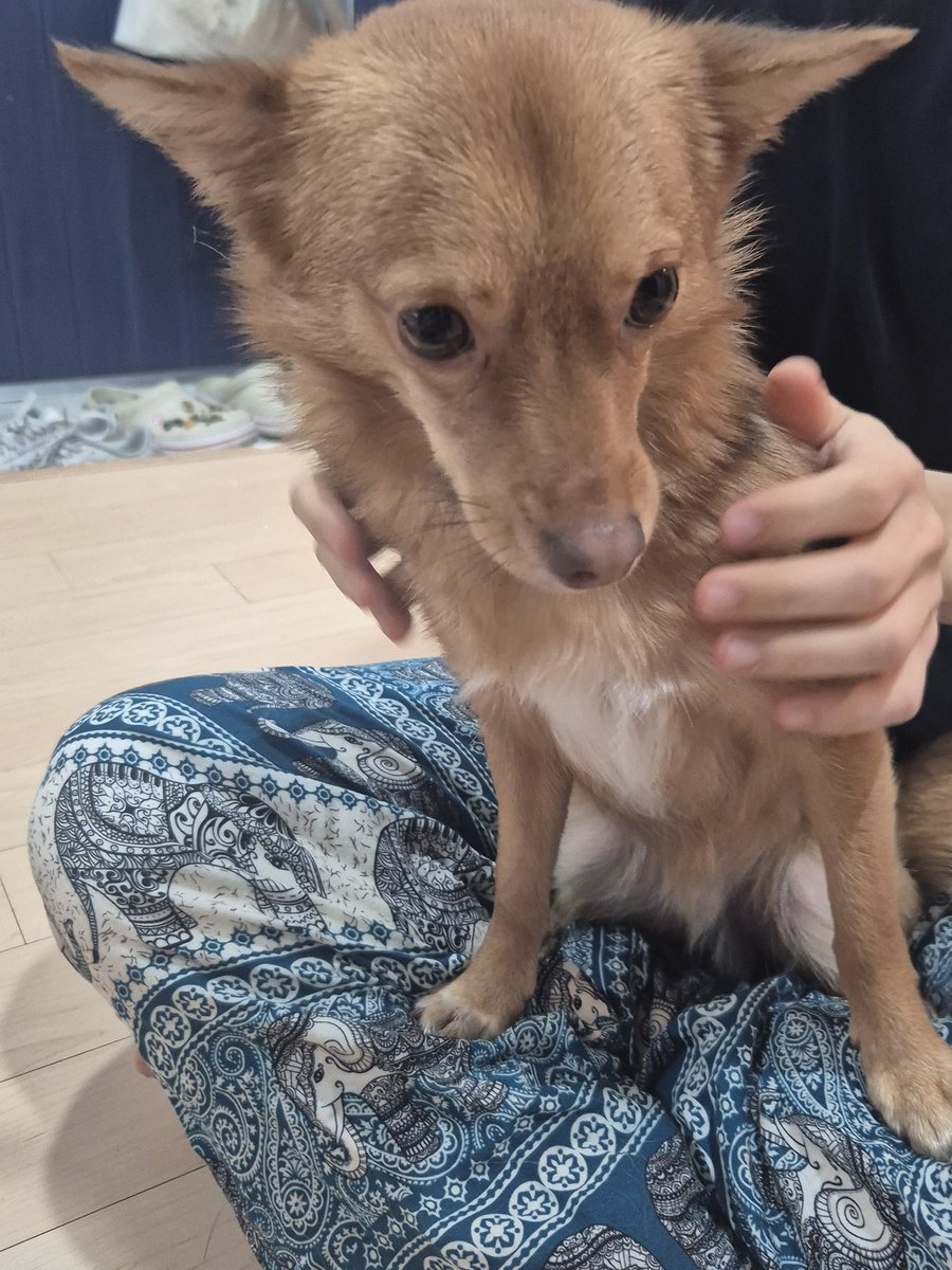 🍤우동 tweet media