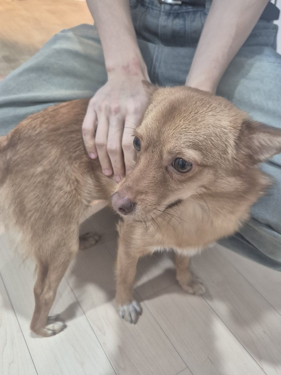 🍤우동 tweet media