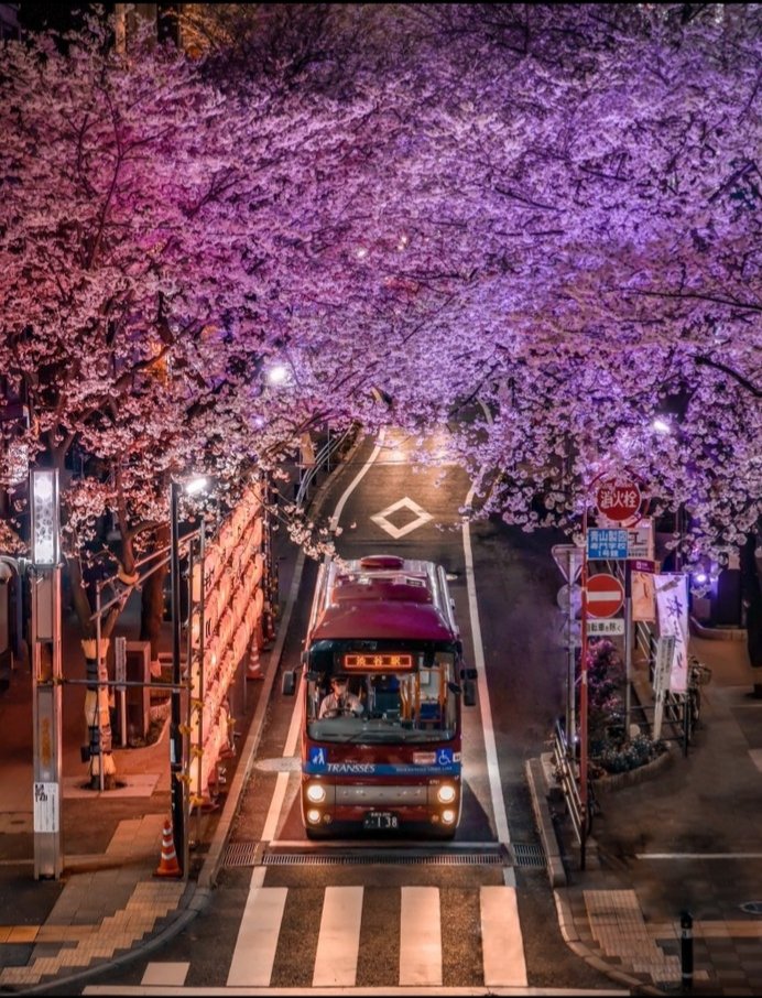 WickedWozza's tweet photo. Tokyo Japan 🤗 https://t.co/hC2cnDBGve