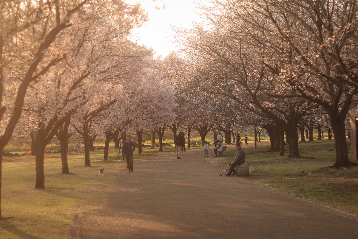 グンマーの馬🐴 tweet media