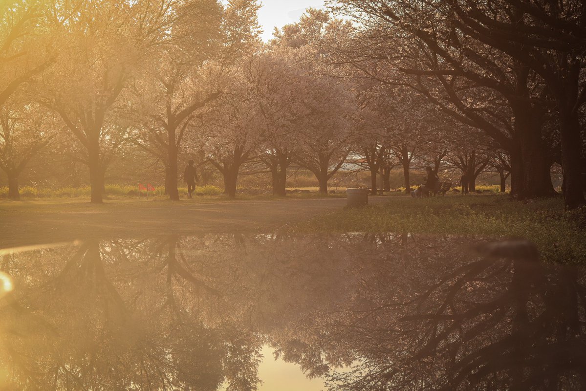 グンマーの馬🐴 tweet media