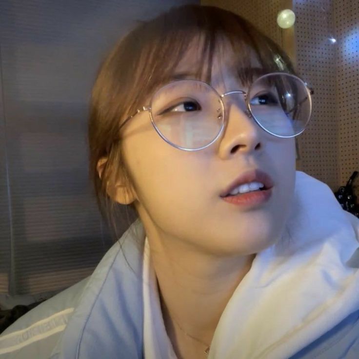 mayor hamu 🐹 tweet media