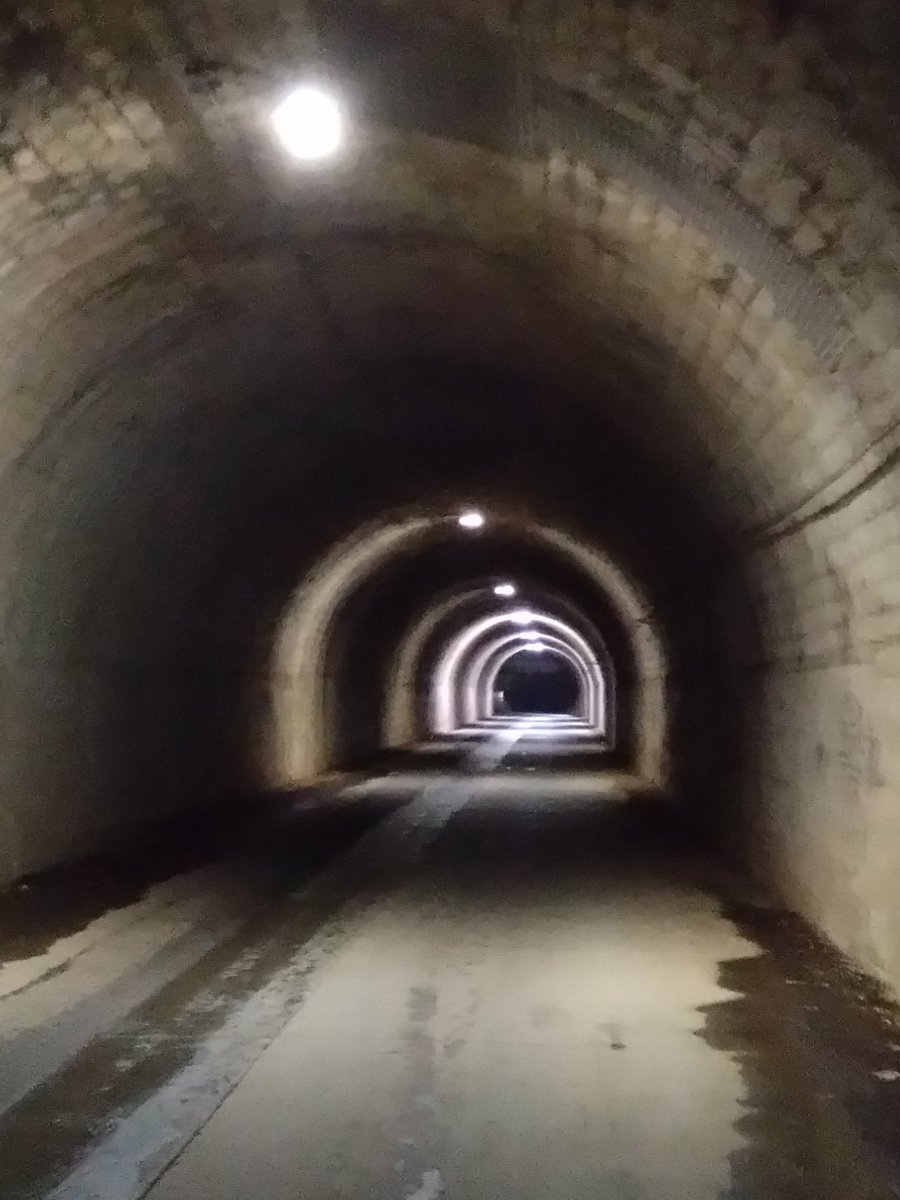 ヤ・モ🍅📷 tweet media