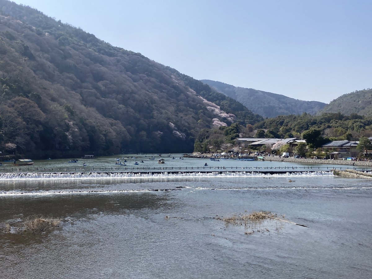 伊賀ちゃん@50代 京都を走る tweet media