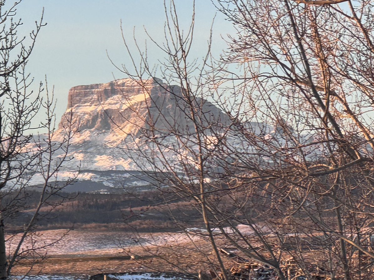 Angela Tabak tweet media