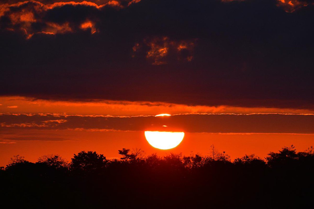 JAVIER MAY tweet media