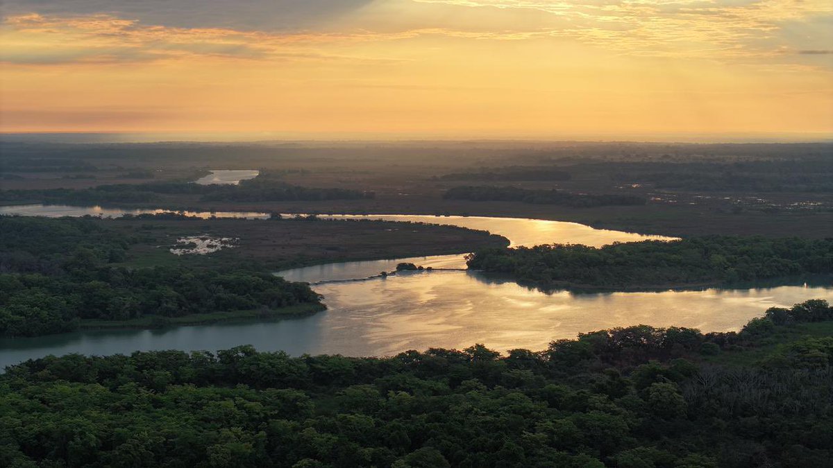 JAVIER MAY tweet media