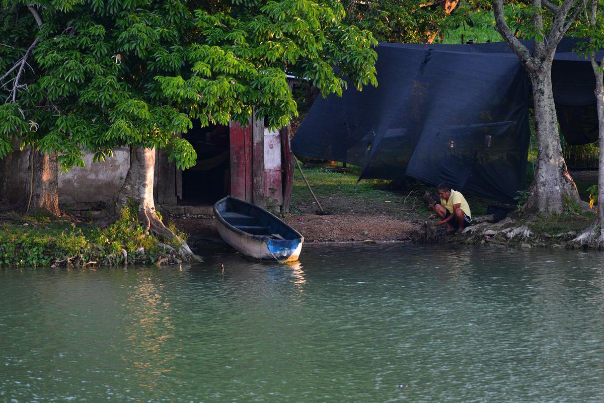 JAVIER MAY tweet media