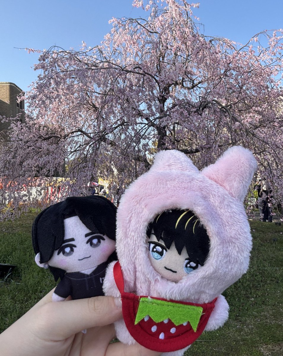 🐹SAEKA🐶 tweet media