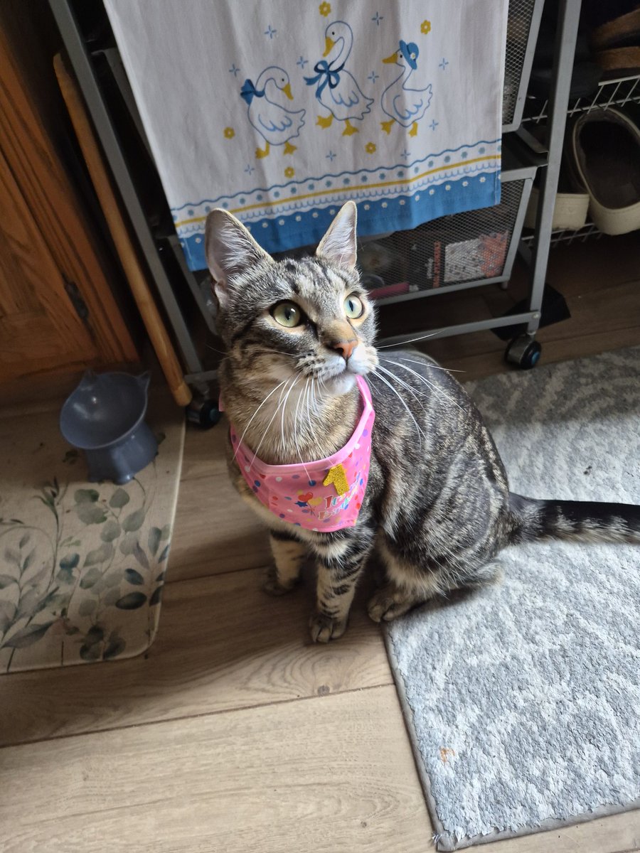 steph*•°.SaveDeadBoyDetectives tweet media