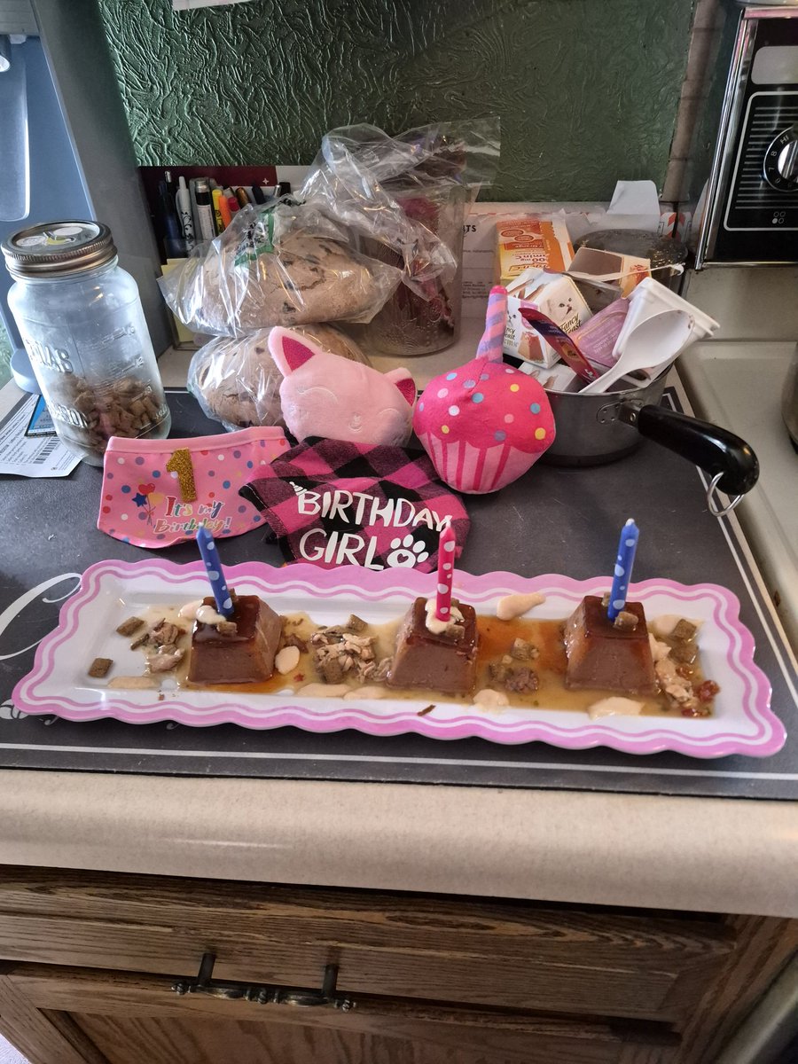 steph*•°.SaveDeadBoyDetectives tweet media